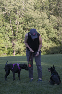 20250826_Thisbe and Dog park__DSC0421_.jpg