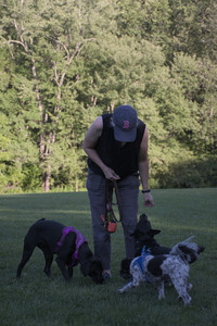 20250826_Thisbe and Dog park__DSC0422_.jpg