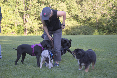 20250826_Thisbe and Dog park__DSC0425_.jpg