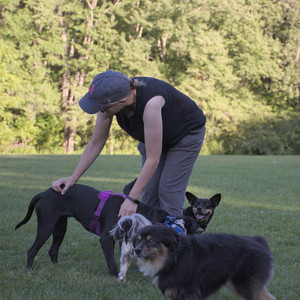 20250826_Thisbe and Dog park__DSC0426_.jpg