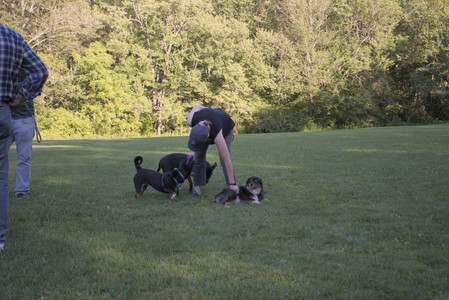 20250826_Thisbe and Dog park__DSC0447_.jpg