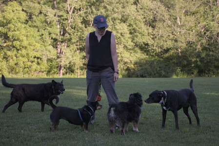20250826_Thisbe and Dog park__DSC0449_.jpg