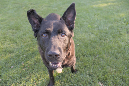 20250826_Thisbe and Dog park__DSC0456_.jpg