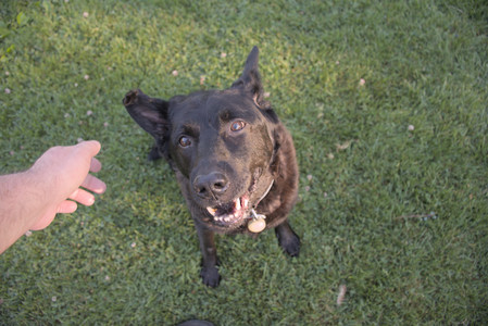 20250826_Thisbe and Dog park__DSC0457_.jpg