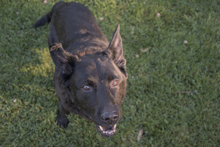 20250826_Thisbe and Dog park__DSC0458_.jpg