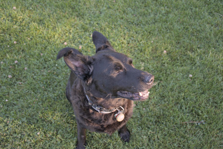 20250826_Thisbe and Dog park__DSC0459_.jpg