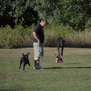 20250826_Thisbe and Dog park__DSC0460_.jpg