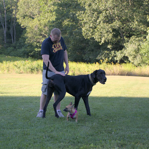 20250826_Thisbe and Dog park__DSC0465_.jpg