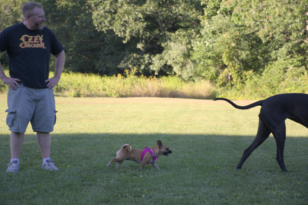 20250826_Thisbe and Dog park__DSC0466_.jpg