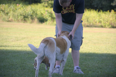 20250826_Thisbe and Dog park__DSC0469_.jpg