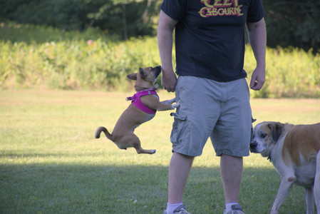 20250826_Thisbe and Dog park__DSC0471_.jpg