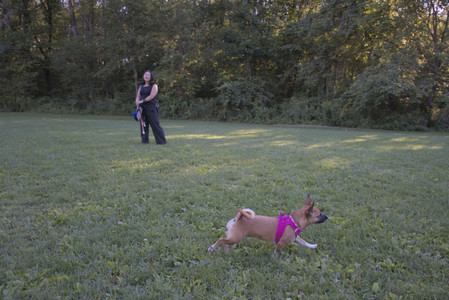 20250826_Thisbe and Dog park__DSC0486_.jpg