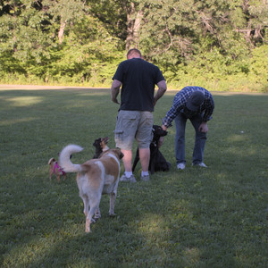 20250826_Thisbe and Dog park__DSC0501_.jpg