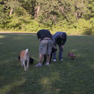 20250826_Thisbe and Dog park__DSC0502_.jpg