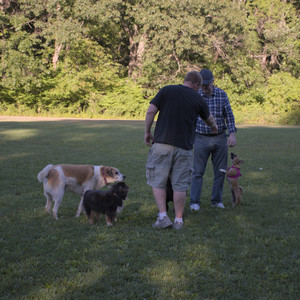 20250826_Thisbe and Dog park__DSC0503_.jpg