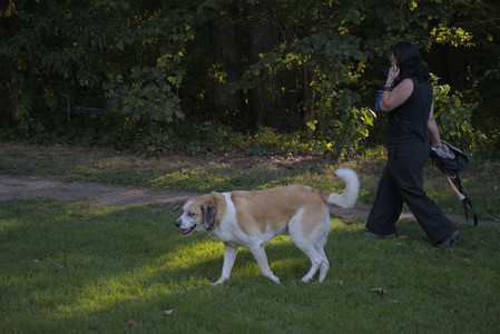 20250826_Thisbe and Dog park__DSC0511_.jpg