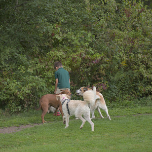 20250827_Dog Park__DSC0530_.jpg