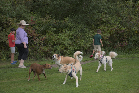 20250827_Dog Park__DSC0531_.jpg