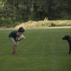 20250827_Dog Park__DSC0537_.jpg
