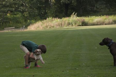 20250827_Dog Park__DSC0538_.jpg