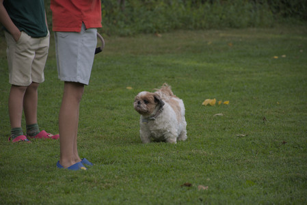 20250827_Dog Park__DSC0539_.jpg