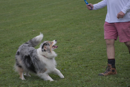 20250827_Dog Park__DSC0546_.jpg