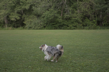 20250827_Dog Park__DSC0548_.jpg