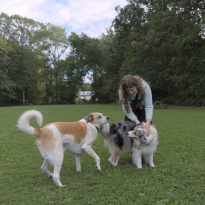 20250827_Dog Park__DSC0551_.jpg