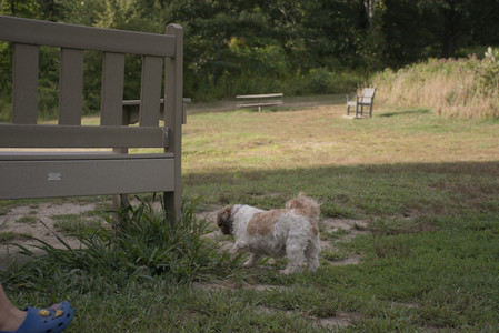 20250827_Dog Park__DSC0555_.jpg
