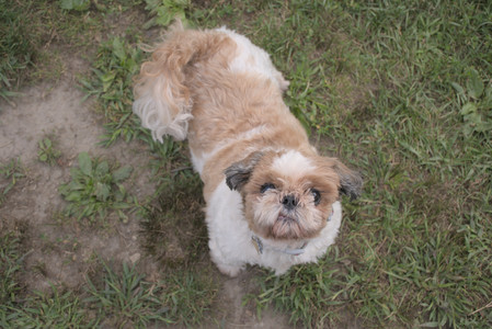 20250827_Dog Park__DSC0559_.jpg