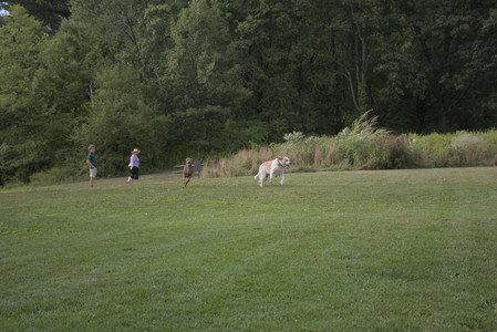 20250827_Dog Park__DSC0564_.jpg