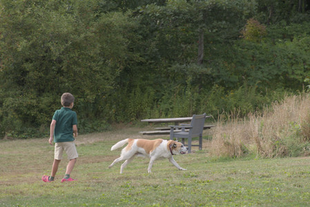20250827_Dog Park__DSC0570_.jpg