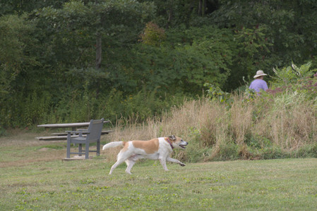 20250827_Dog Park__DSC0571_.jpg
