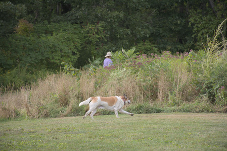 20250827_Dog Park__DSC0572_.jpg