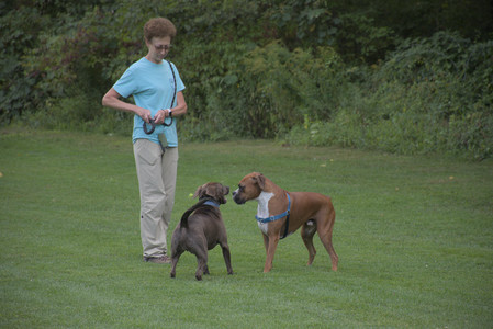 20250827_Dog Park__DSC0578_.jpg