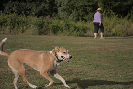 20250827_Dog Park__DSC0579_.jpg