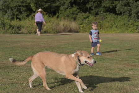 20250827_Dog Park__DSC0580_.jpg