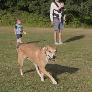 20250827_Dog Park__DSC0581_.jpg