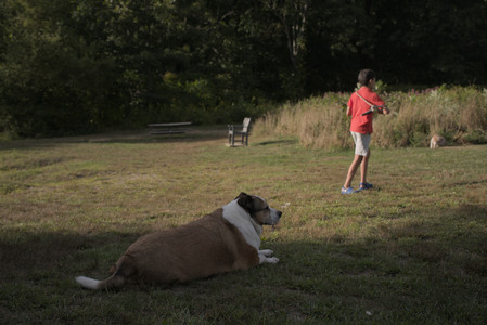 20250827_Dog Park__DSC0603_.jpg
