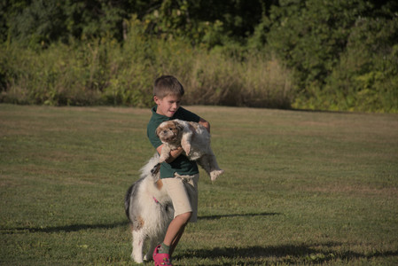 20250827_Dog Park__DSC0609_.jpg