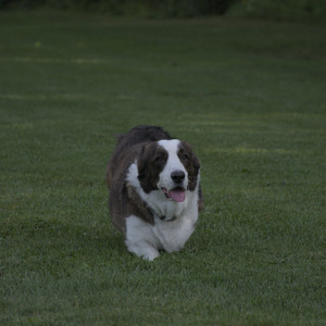 20250827_Dog Park__DSC0619_.jpg