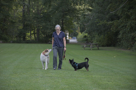 20250827_Dog Park__DSC0635_.jpg