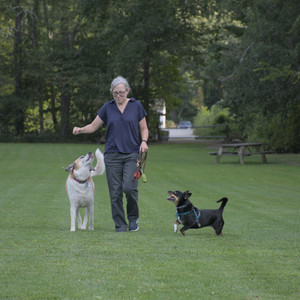 20250827_Dog Park__DSC0636_.jpg