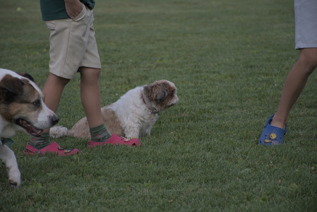 20250827_Dog Park__DSC0637_.jpg