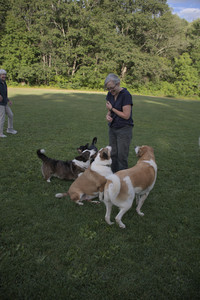 20250827_Dog Park__DSC0649_.jpg