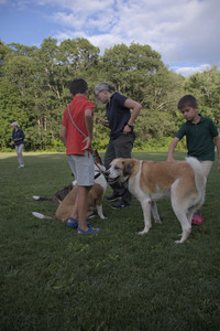 20250827_Dog Park__DSC0651_.jpg