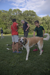 20250827_Dog Park__DSC0652_.jpg