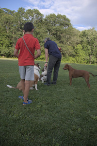 20250827_Dog Park__DSC0653_.jpg