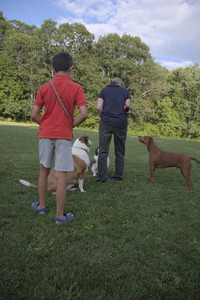 20250827_Dog Park__DSC0654_.jpg