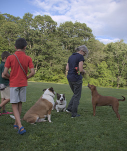 20250827_Dog Park__DSC0655_.jpg